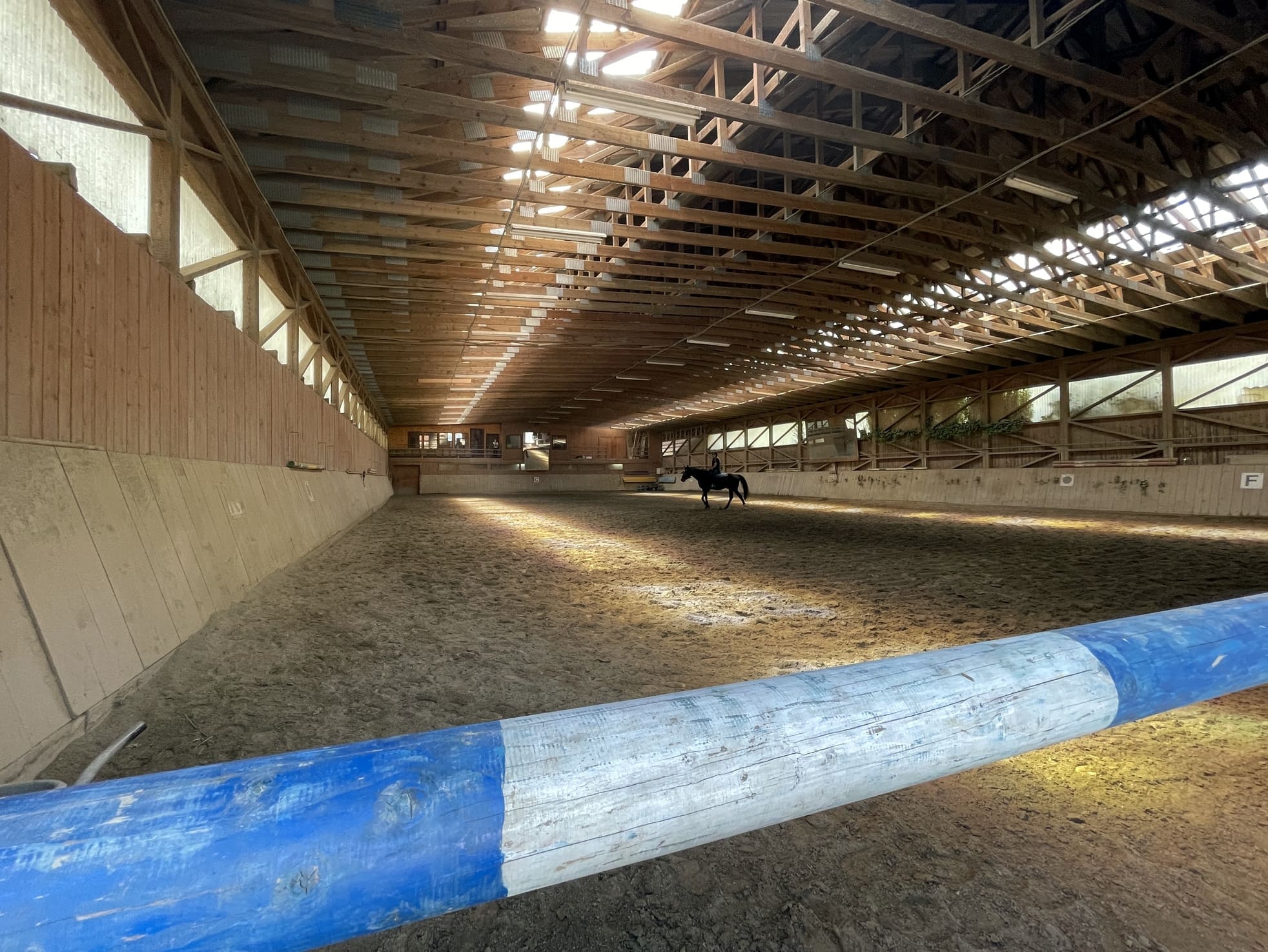 horse-stables-manege-asutria-1.jpg