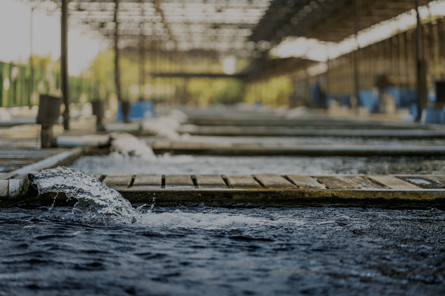 water-flow-treatment-system-from-water-pump-pipe-motion-water-gushing-out-pipe-from-koi-pond-carp-fish-farm-oxygen-water-was-drain-by-tube-pvc-industrial-wastewater-treatment-1-1.png